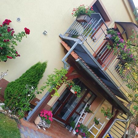 Ubytovani U Spacku Palava Novosedly  Экстерьер фото