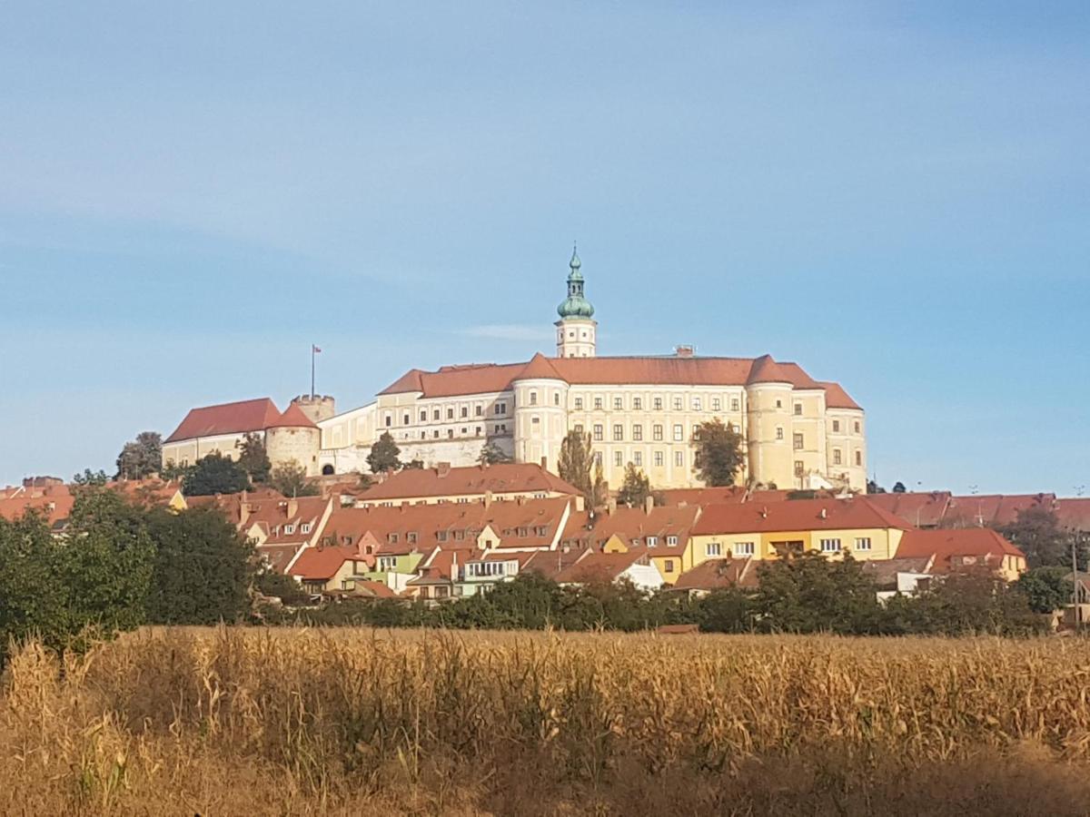 Ubytovani U Spacku Palava Novosedly  Экстерьер фото